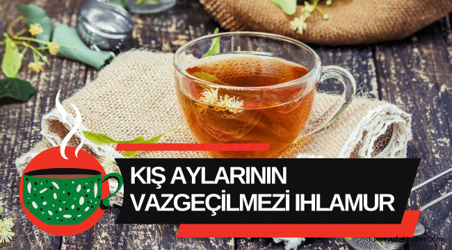 Kış aylarının vazgeçilmezi ıhlamurun faydaları! Ihlamur nasıl kaynatılır?