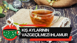Kış aylarının vazgeçilmezi ıhlamurun faydaları! Ihlamur nasıl kaynatılır?