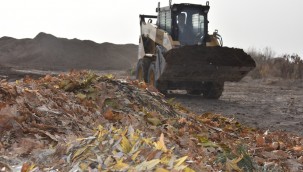 Kocasinan Belediyesi'nden doğaya katkı: Kuru yapraklar, organik gübreye dönüştürülüyor