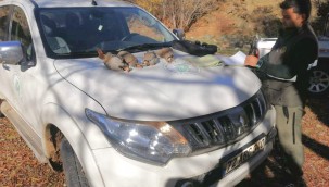 Yasa dışı av yapan 4 kişiye ceza 