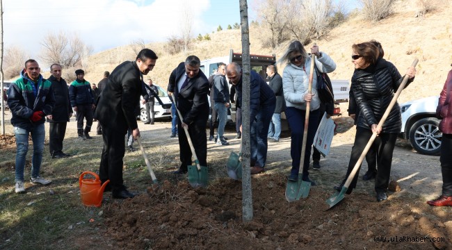 Büyükşehir'den anlamlı günde hatıra ormanı