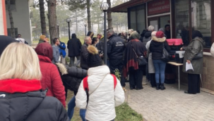 Evcil hayvanların kimliklendirilmesinde sıra yoğunluğu