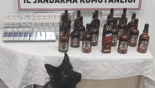 Kaçakçılık operasyonunda 1 gözaltı 