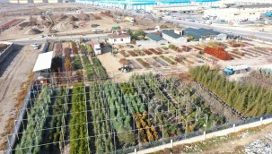 Kocasinan, yeni parklar ve ağaç dikmede yeni bir rekora hazırlanıyor