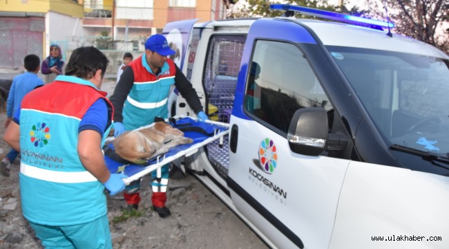 Başkan Çolakbayrakdar: Küçük dostlar ambulansı 6 bin 439 can kurtardı