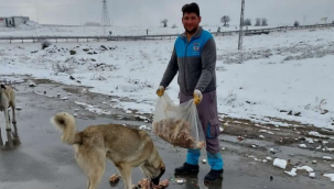 Bütçelerinden aldıkları gıdalarla sokak hayvanlarını besliyorlar  