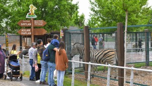 Büyükşehir Hayvanat Bahçesi'nin ziyaretçi sayısı belli oldu