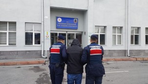 Jandarma, bir yılda 98 terör operasyonu düzenledi