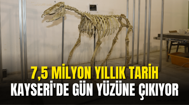 Kayseri'de bilime ışık tutan tarihî fosiller gün yüzüne çıkıyor