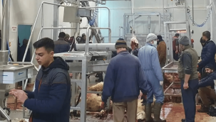 Akkışla'dan afet bölgesine destek: 103 küçükbaş, 3 büyükbaş kesimi yapıldı