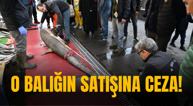 Kayseri'de satışı yasak olan balığın satıcısına ceza!