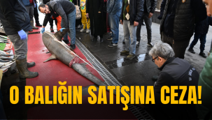 Kayseri'de satışı yasak olan balığın satıcısına ceza!