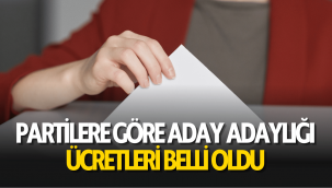 Partilere göre milletvekili aday adaylığı başvuru ücretleri 