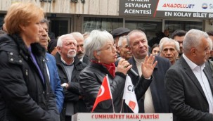 Sema Karaoğlu, CHP'den milletvekili aday adayı oldu