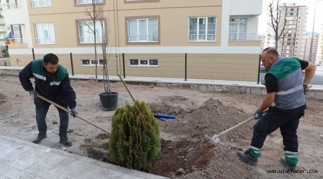 Talas'ta ağaçlandırma sezonu açıldı