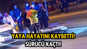Otomobilin çarptığı yaya, hayatını kaybetti: Sürücü kaçtı!