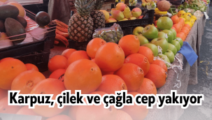 Semt pazarında bu hafta meyve-sebze fiyatları