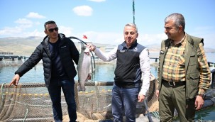 Denizi olmayan Kayseri'de somon hasadı