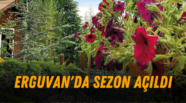 Kayseri Büyükşehir Belediyesi, Erguvan'da bahçe sezonunu açtı