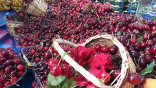 Kayseri semt pazarında meyve sebze fiyatları 