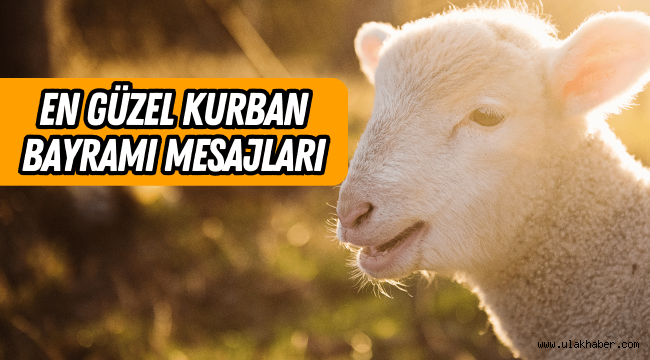 Kurban Bayramı mesajları resimli 2023 kısa anlamlı WhatsApp mesajları