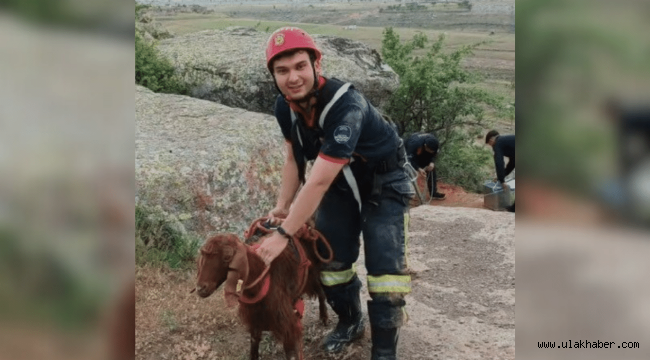 Kuyuya düşen keçi, 2 saatlik çalışmayla kurtarıldı