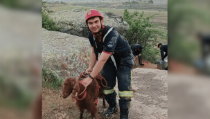 Kuyuya düşen keçi, 2 saatlik çalışmayla kurtarıldı
