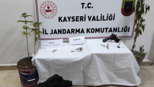 Evinin bahçesinde ekilmiş kenevir bulunan şüpheli gözaltına alındı