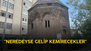 Sahabiye'de bin yıllık tarihi yapıları tahrip ettiler 