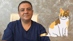 Veteriner Hekim Özden'den "Bir kap su bir kap mama" çağrısı