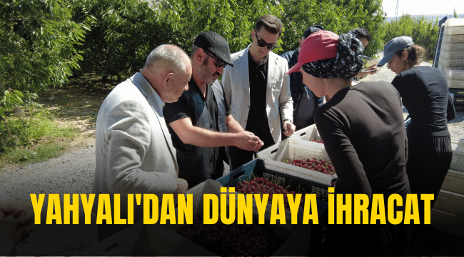 Yahyalı, dünyaya kiraz ihraç ediyor