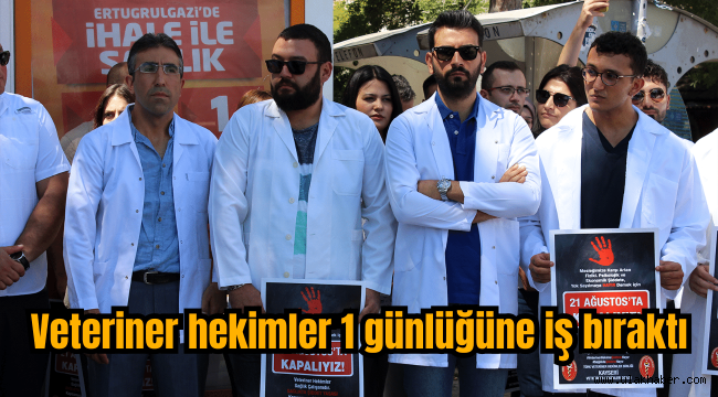 Kayseri'de veteriner hekimler iş bıraktı!