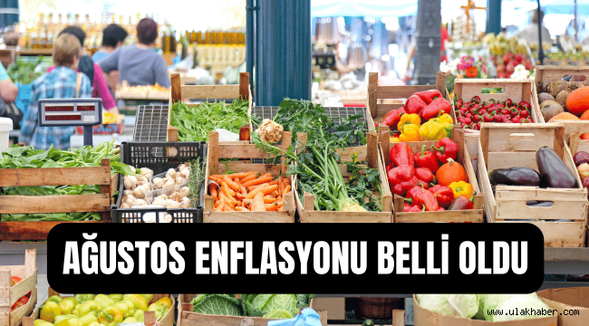 Ağustos ayı enflasyon rakamları açıklandı