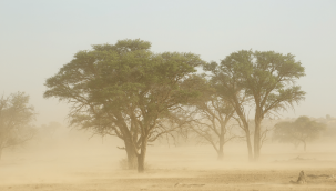 Kayseri'ye Cuma günü çöl tozu geliyor!