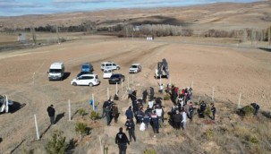 Akkışla Belediyesi'nden fidan dikim etkinliği