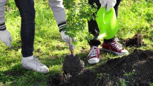 Yahyalı'da 'Geleceğe Nefes Cumhuriyete Nefes' etkinliği ile fidan dikildi