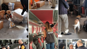 'Narko Alan' uygulamasında 7 otobüs, 42 kişi sorgulandı