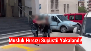 Cami lavabosundan musluk çalan hırsız suçüstü yakalandı!